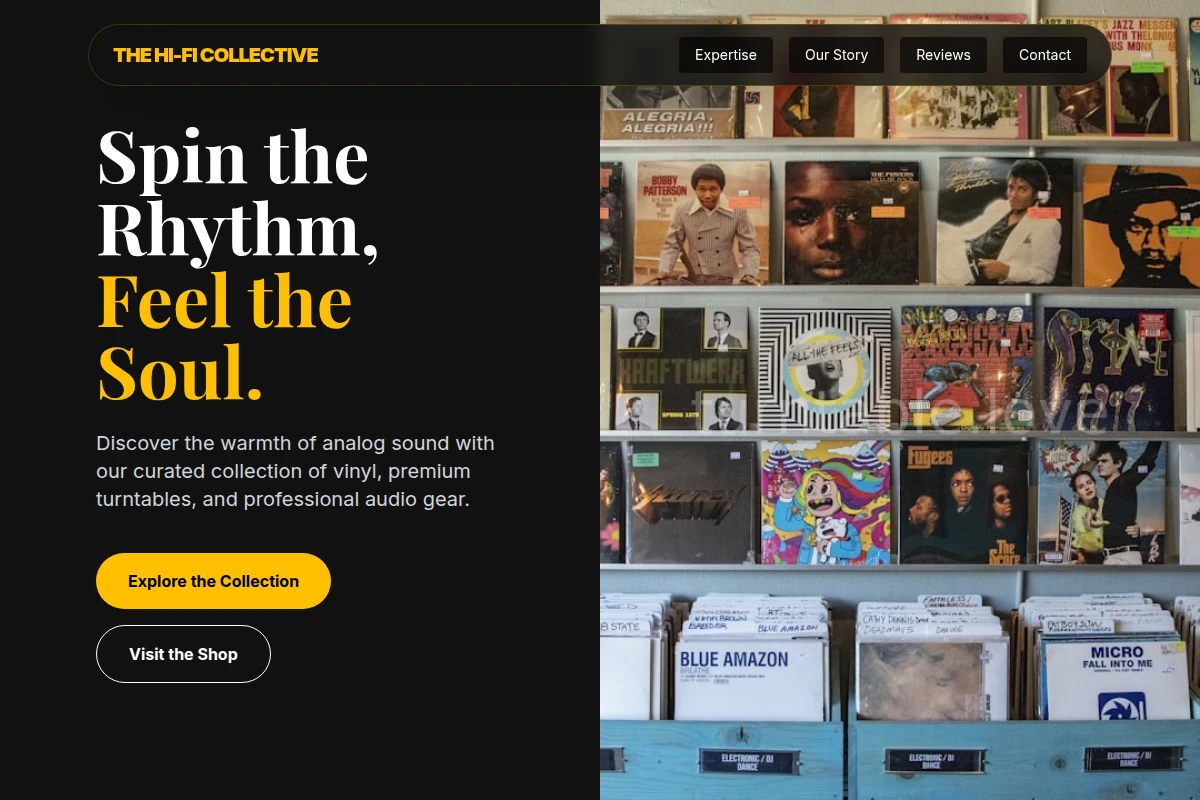 Analog Music Store